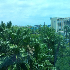 Our hotel view